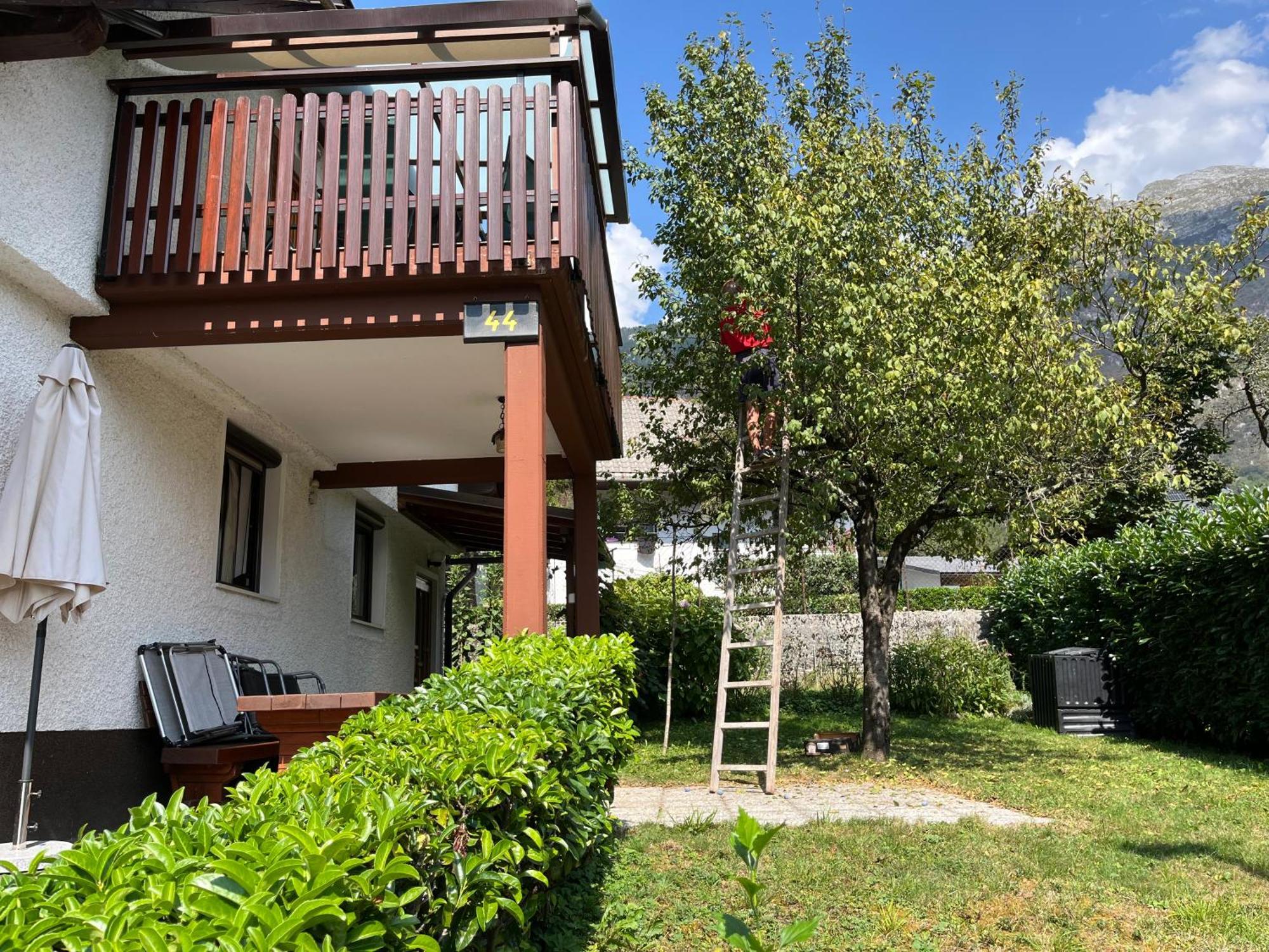 בובק Apartments And Rooms Tajcr מראה חיצוני תמונה